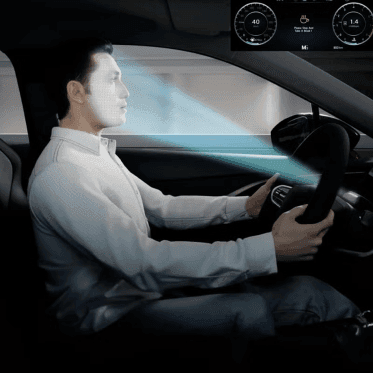 Driver monitoring system